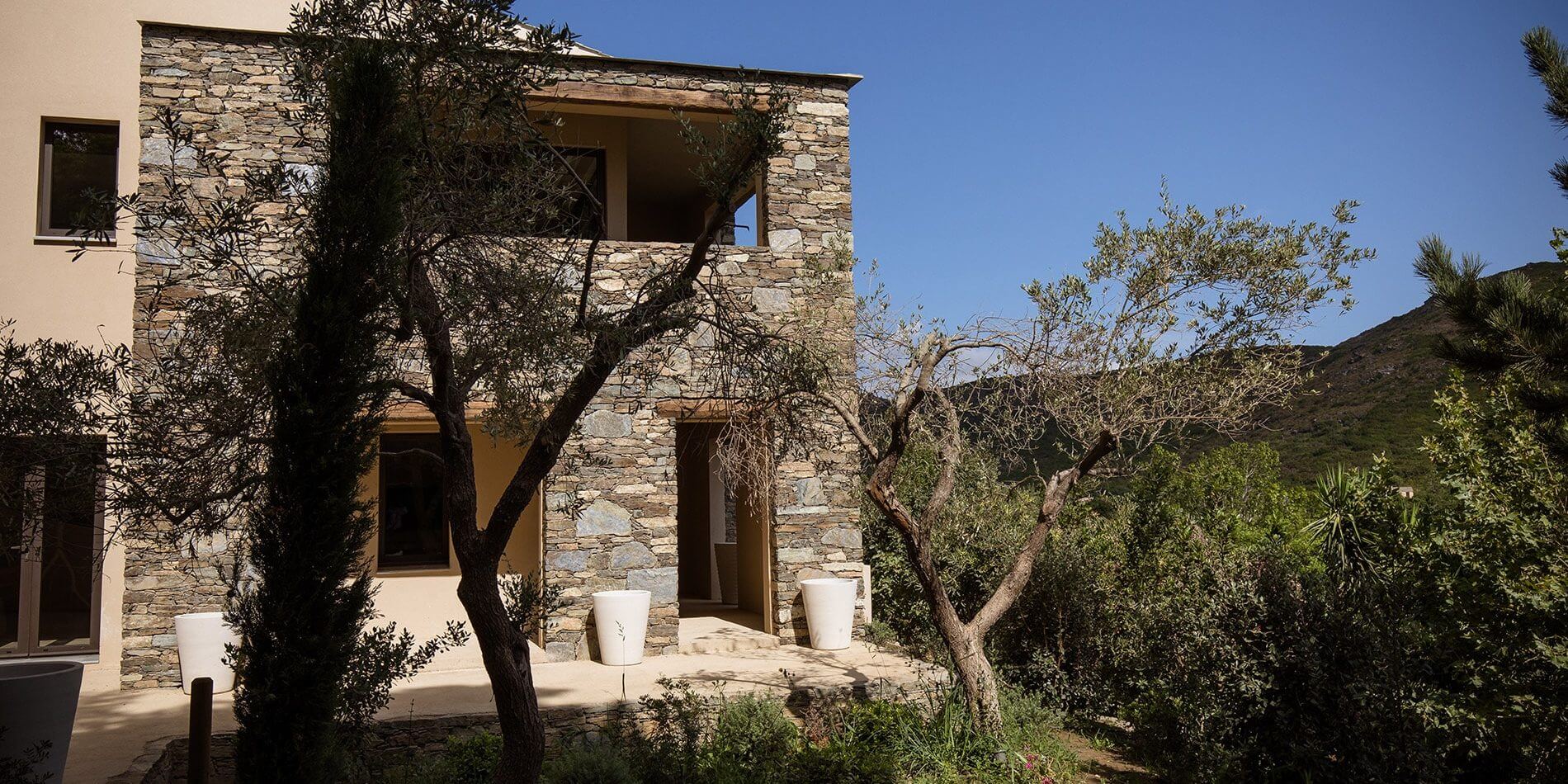 Hotel Misincu Cagnano Cap Corse Corsica Frankrijk villa façade tuin olijfboom