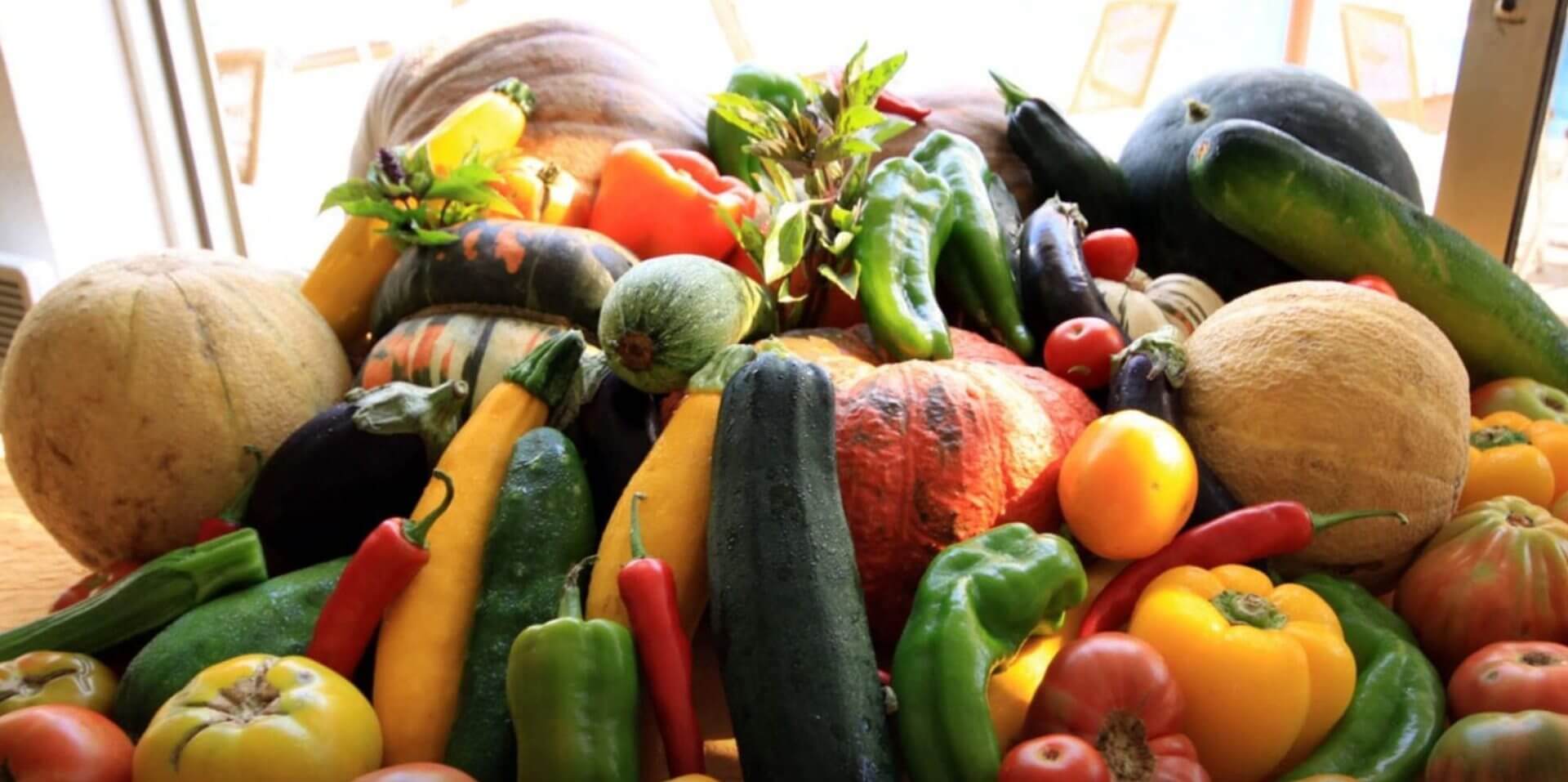 Hotel Arcu di Sole Propriano Corsica Frankrijk groenten