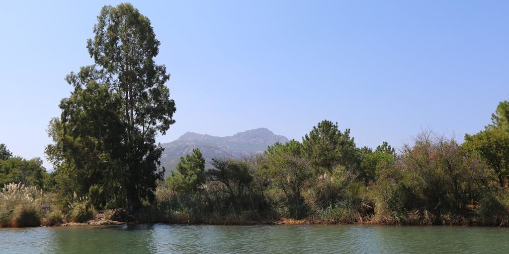 Camping La Dolce Vita Calvi Corsica oever