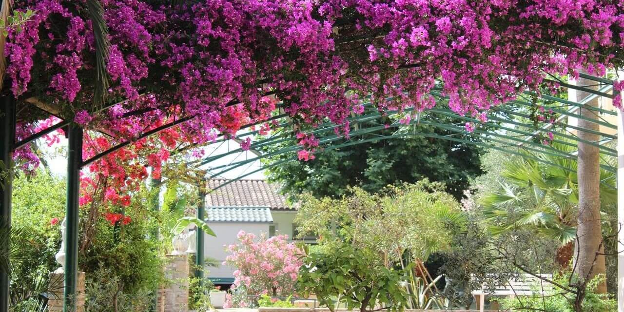 Hotel Castellu Rossu Lucciana Corsica Frankrijk tuin bougainville pergola oleander