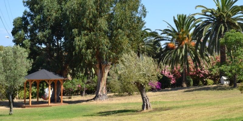 Residence maina Cargese Corsica Frankrijk tuin prieel relaxen park