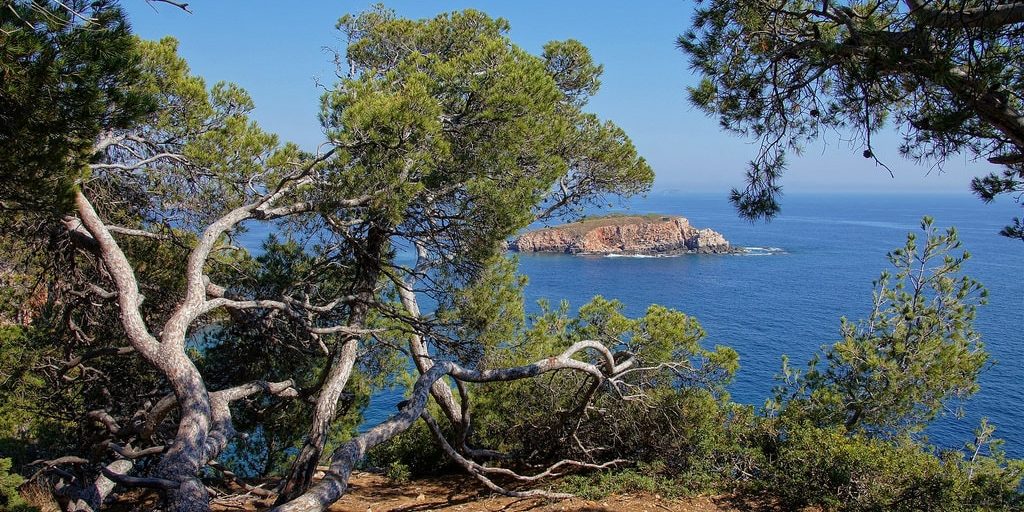 Hotel Escale Cote Port Ile Rousse Corsica frankrijk zeezicht natuur zee rotsen vegetatie
